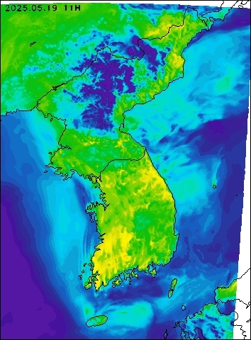 2025-05-19 11 : 00