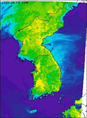 2025-06-19 11 : 00