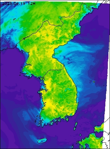 2025-06-19 12 : 00