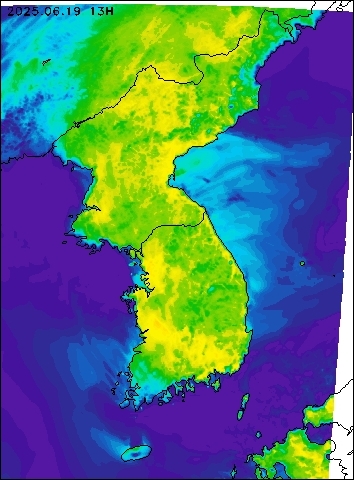 2025-06-19 13 : 00