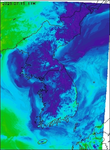 2025-07-15 11 : 00