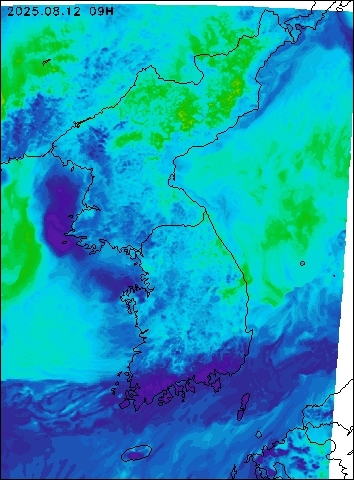 2025-08-12 09 : 00