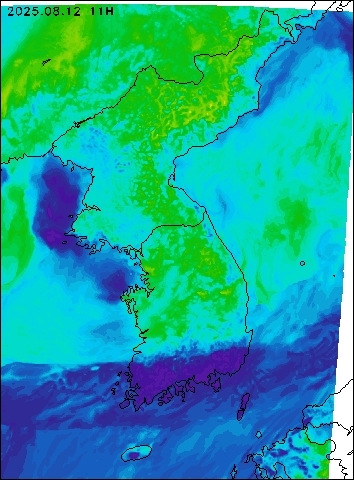 2025-08-12 11 : 00