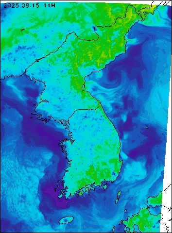 2025-08-15 11 : 00