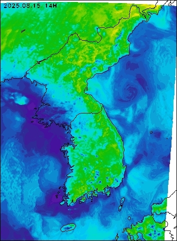 2025-08-15 14 : 00
