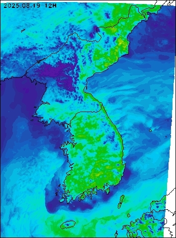 2025-08-19 12 : 00