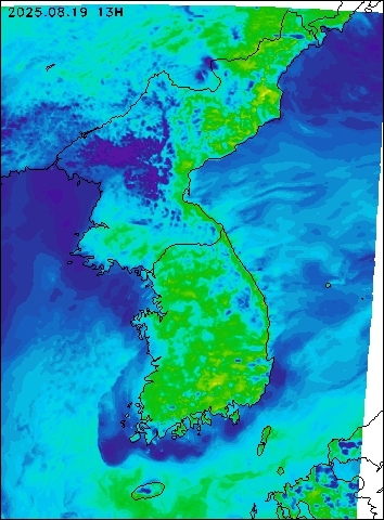 2025-08-19 13 : 00