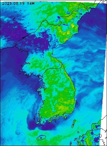 2025-08-19 14 : 00