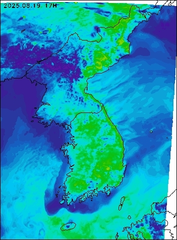 2025-08-19 17 : 00