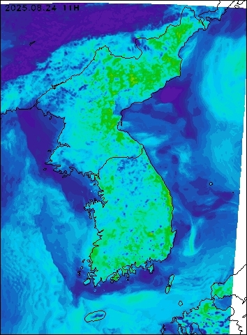 2025-08-24 11 : 00