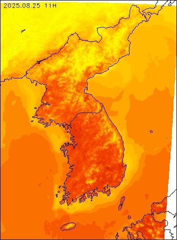 2025-08-25 11 : 00