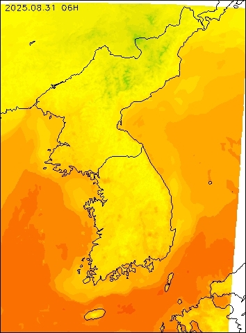2025-08-31 06 : 00