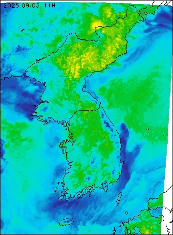 2025-09-03 11 : 00