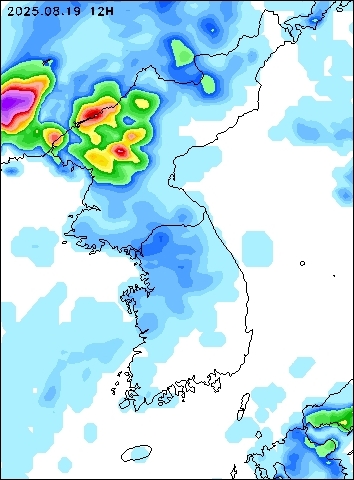 2025-08-19 12 : 00