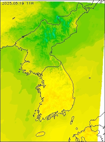 2025-05-19 11 : 00