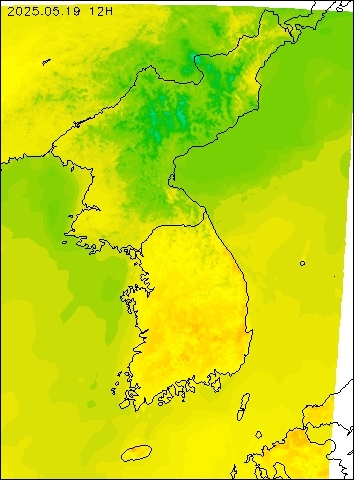 2025-05-19 12 : 00
