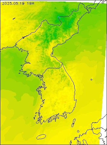 2025-05-19 19 : 00