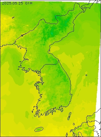 2025-05-25 01 : 00