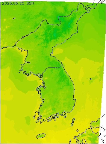2025-05-25 05 : 00