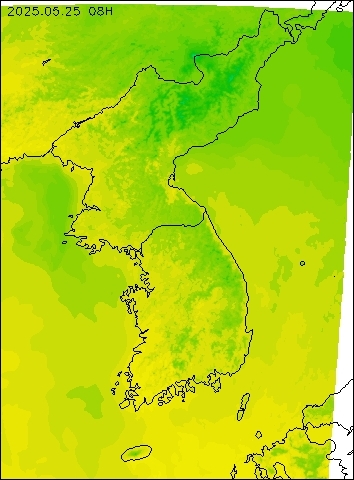 2025-05-25 08 : 00