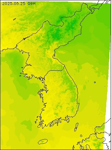 2025-05-25 09 : 00
