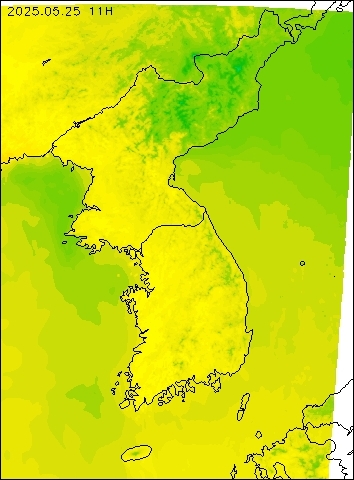 2025-05-25 11 : 00