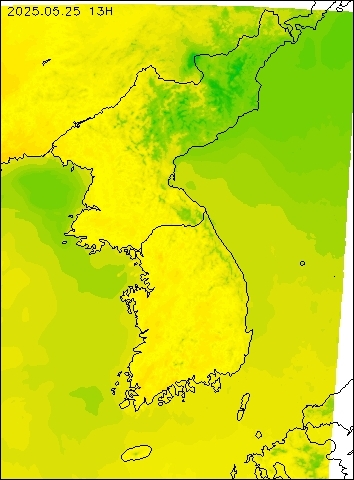 2025-05-25 13 : 00