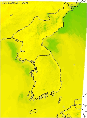 2025-05-31 09 : 00