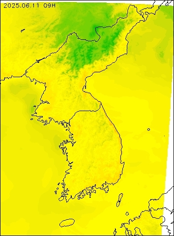 2025-06-11 09 : 00