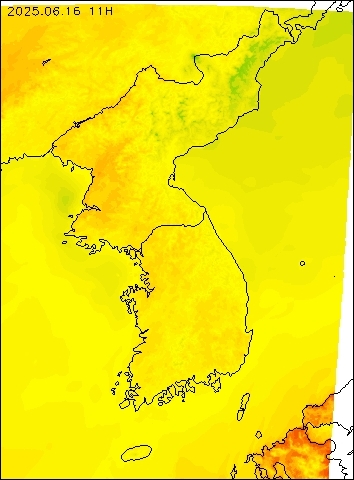 2025-06-16 11 : 00