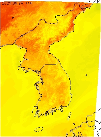 2025-06-24 11 : 00