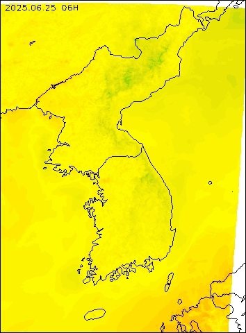 2025-06-25 06 : 00