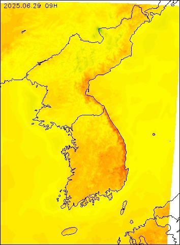 2025-06-29 09 : 00