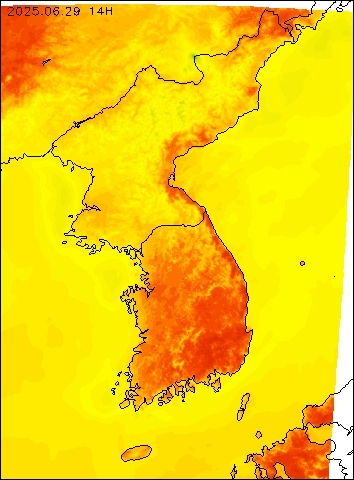 2025-06-29 14 : 00