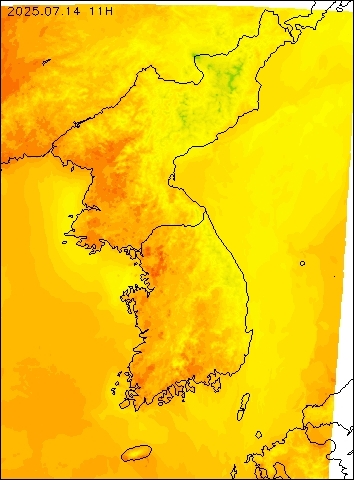2025-07-14 11 : 00