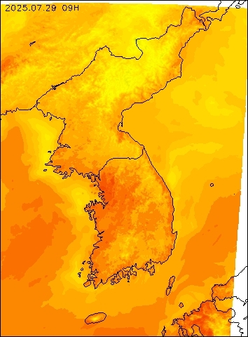 2025-07-29 09 : 00