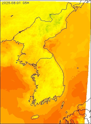 2025-08-01 05 : 00