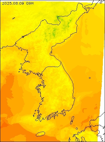 2025-08-09 09 : 00
