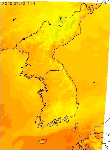 2025-08-10 11 : 00