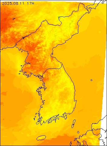 2025-08-11 17 : 00