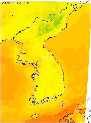 2025-08-12 01 : 00