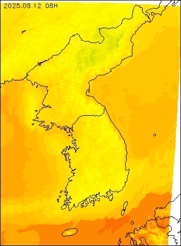 2025-08-12 08 : 00