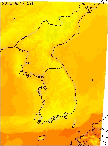 2025-08-12 09 : 00