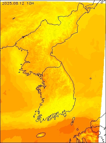 2025-08-12 10 : 00
