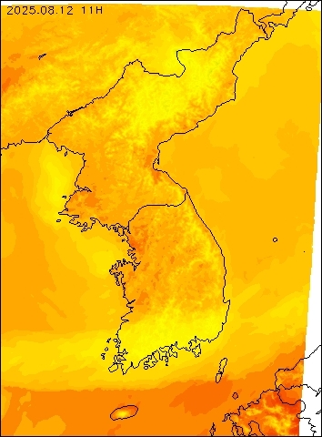 2025-08-12 11 : 00