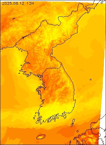 2025-08-12 12 : 00