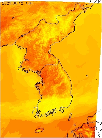 2025-08-12 13 : 00