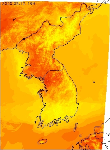 2025-08-12 16 : 00