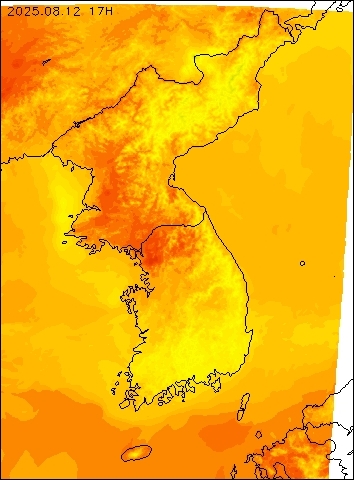 2025-08-12 17 : 00