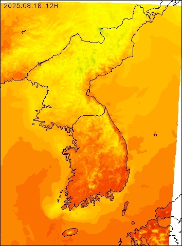 2025-08-18 12 : 00